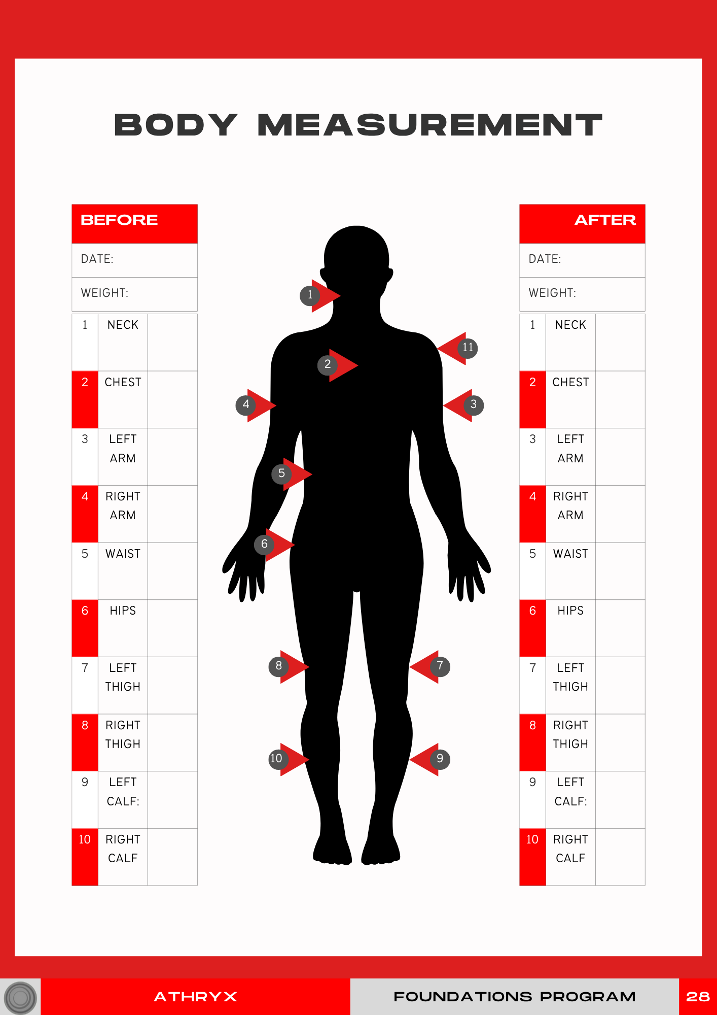 Bigger Back Program – Strength & Width
