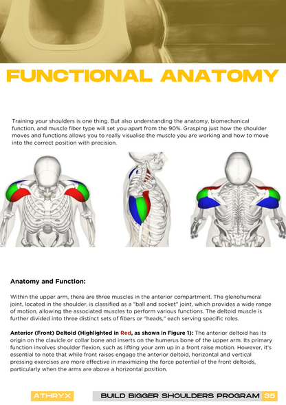 Shoulder Program – Strength & Definition