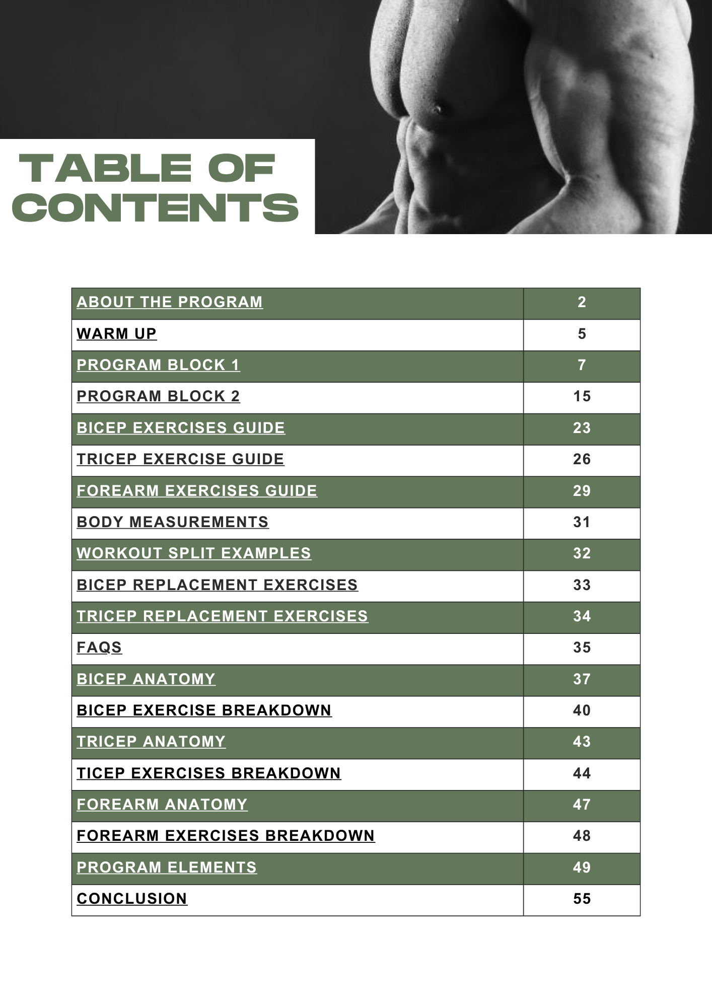 Bigger Arms Program – Size & Definition