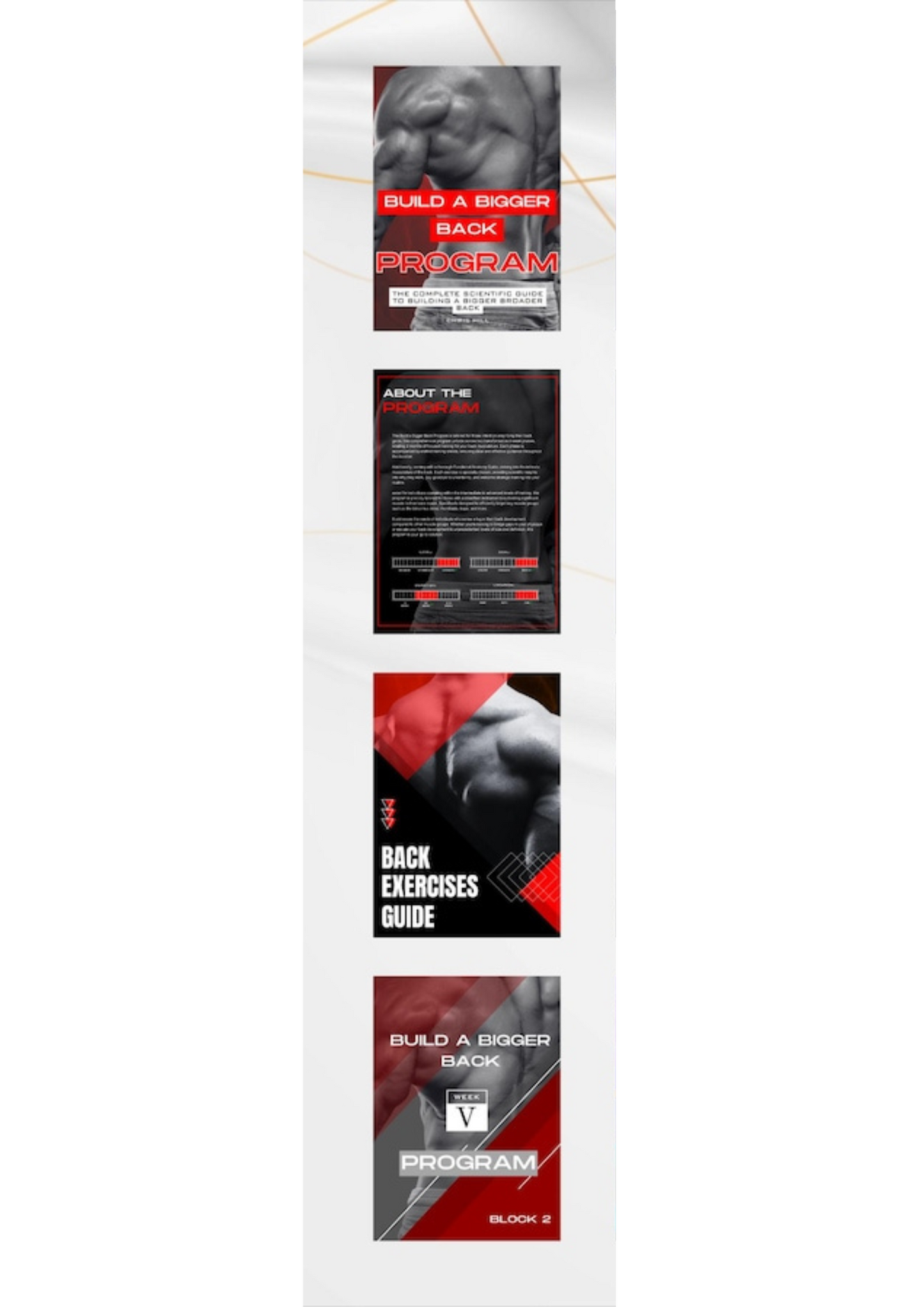 Bigger Back Program – Strength & Width