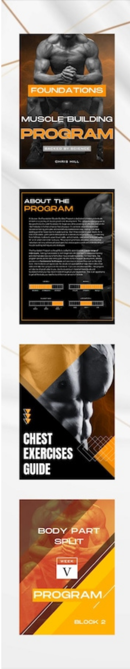 Full Body Program – Strength, Endurance & Balance