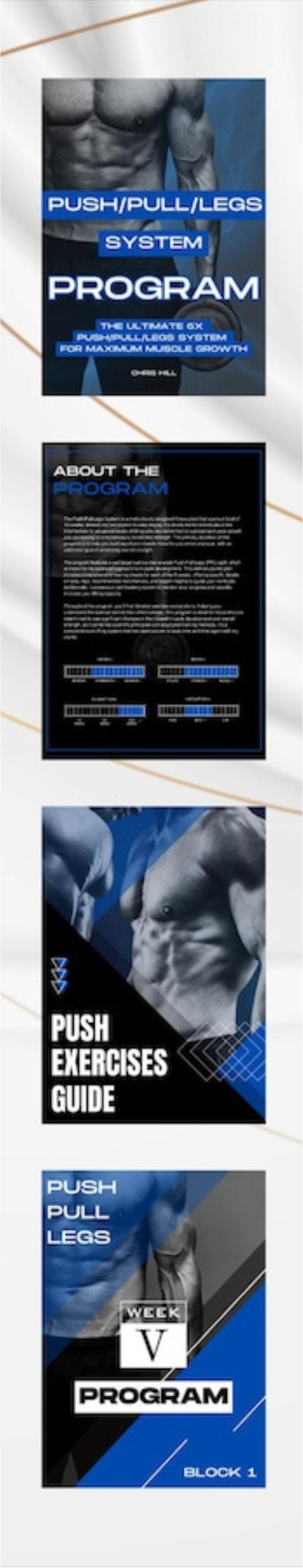 Push Pull Legs Program – Balanced Strength Split